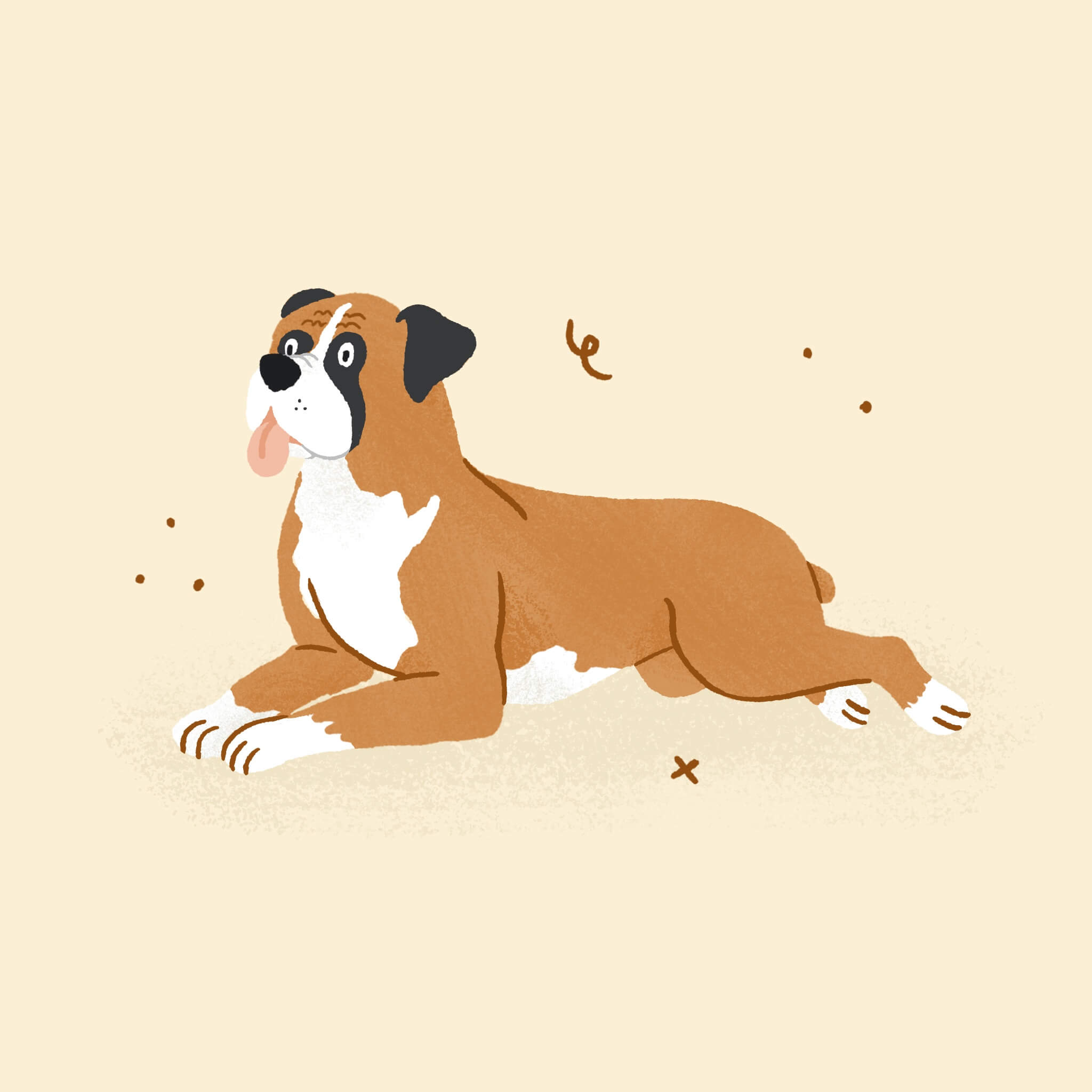 An illustration of a Boxer dog laying down and looking to the left