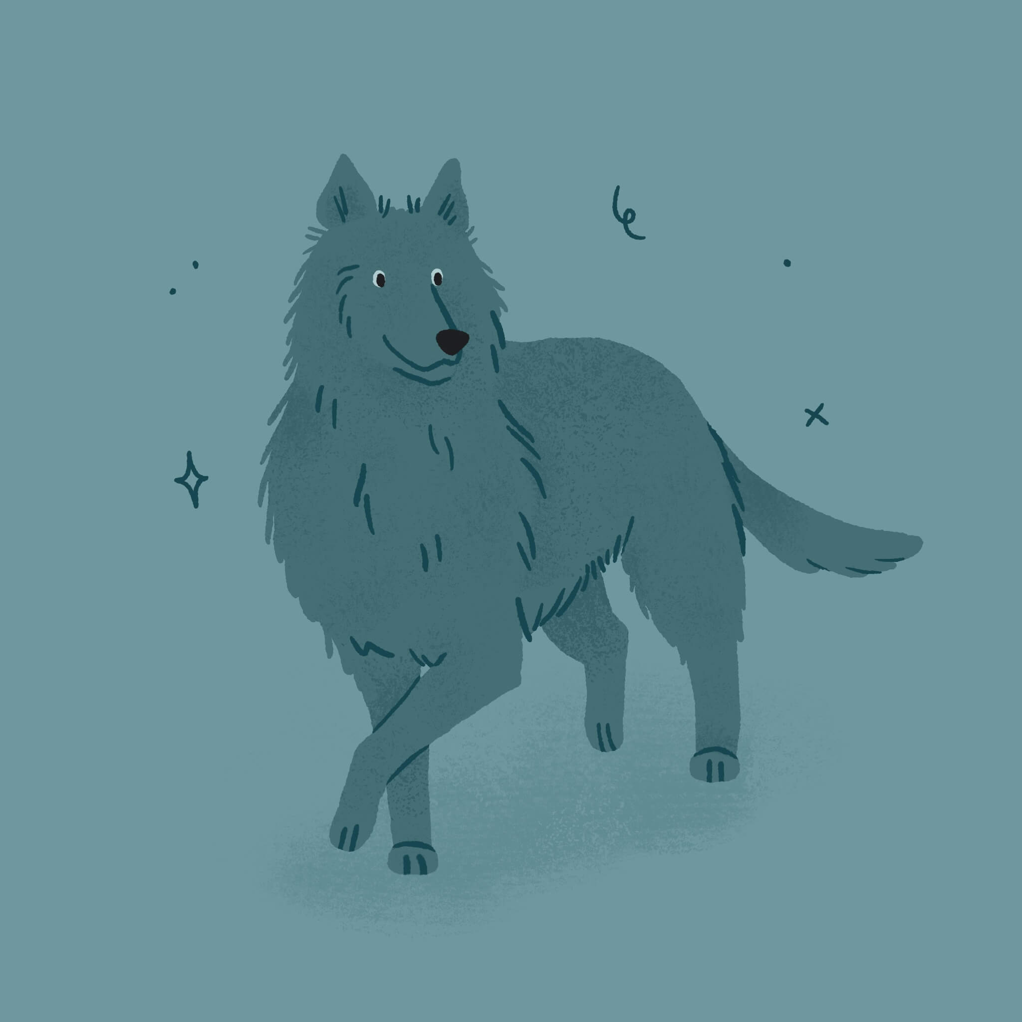 A monochromatic blue illustration of a Belgian Sheepdog walking towards the viewer