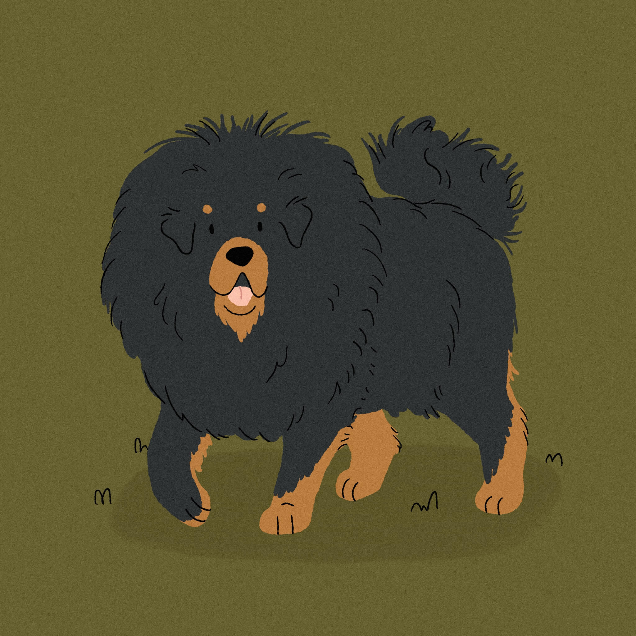 An illustration of a Tibetan Mastiff dog with one paw off the ground. the background is dark olive green.