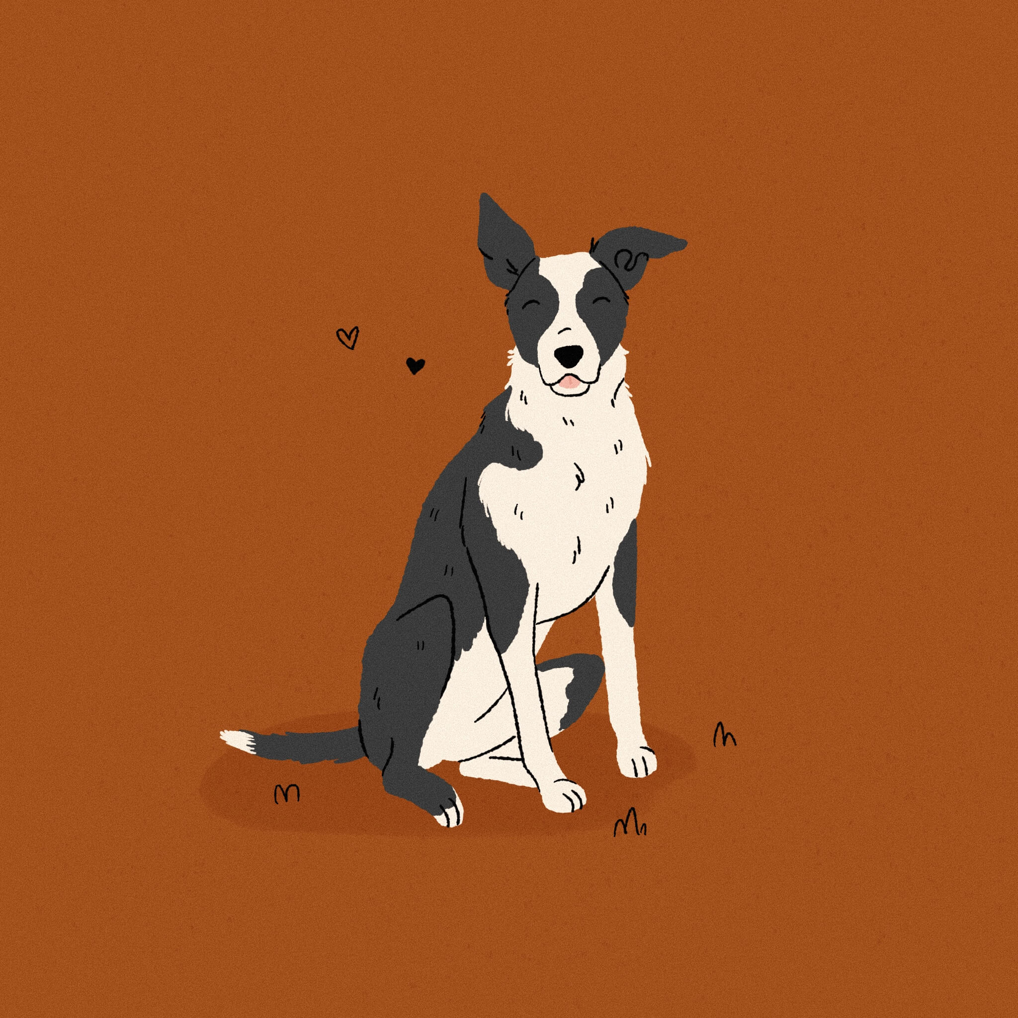 An illustration of a black and white McNab dog sitting with a dark orange background