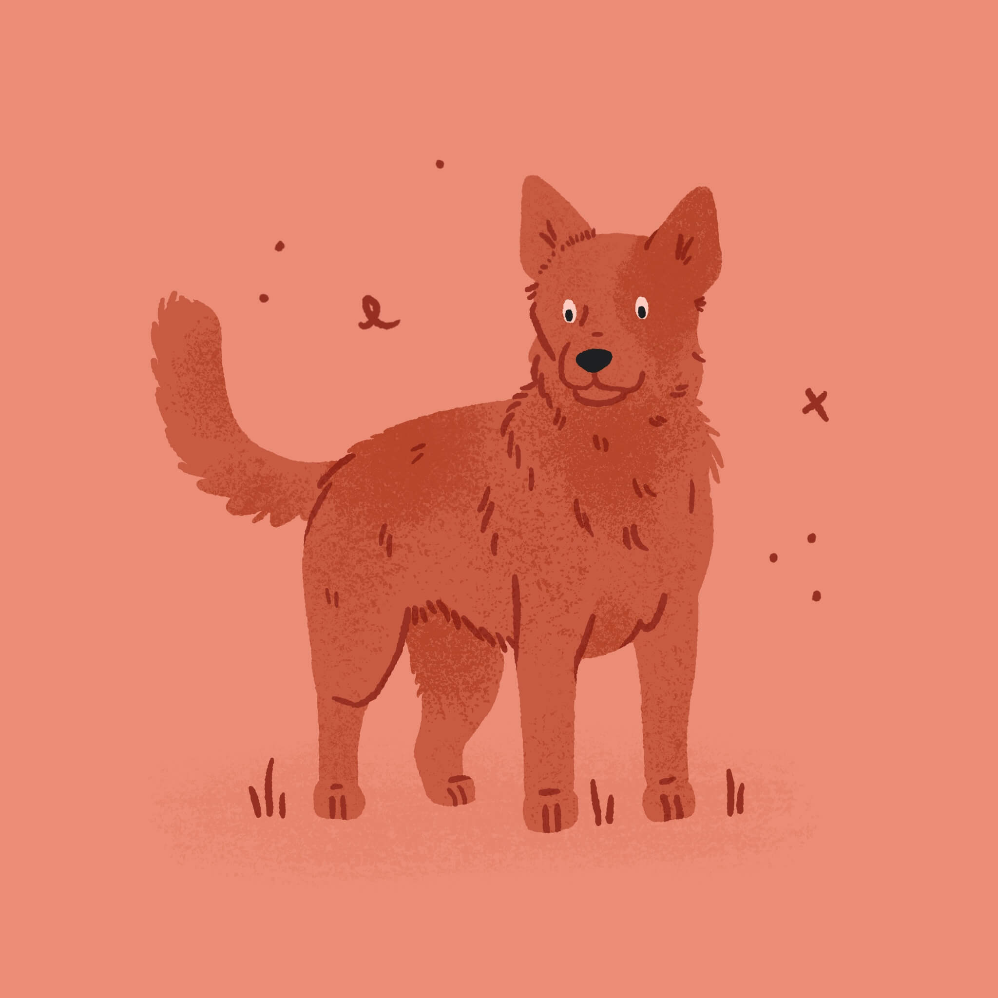 A monochromatic pink and red illustration of an Australian Cattle Dog