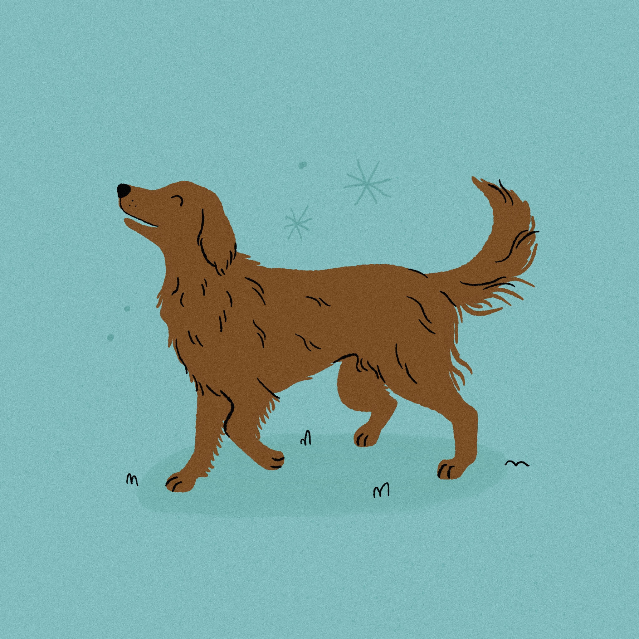 An illustration of a smiling flat coated retriever walking along with a bright blue background