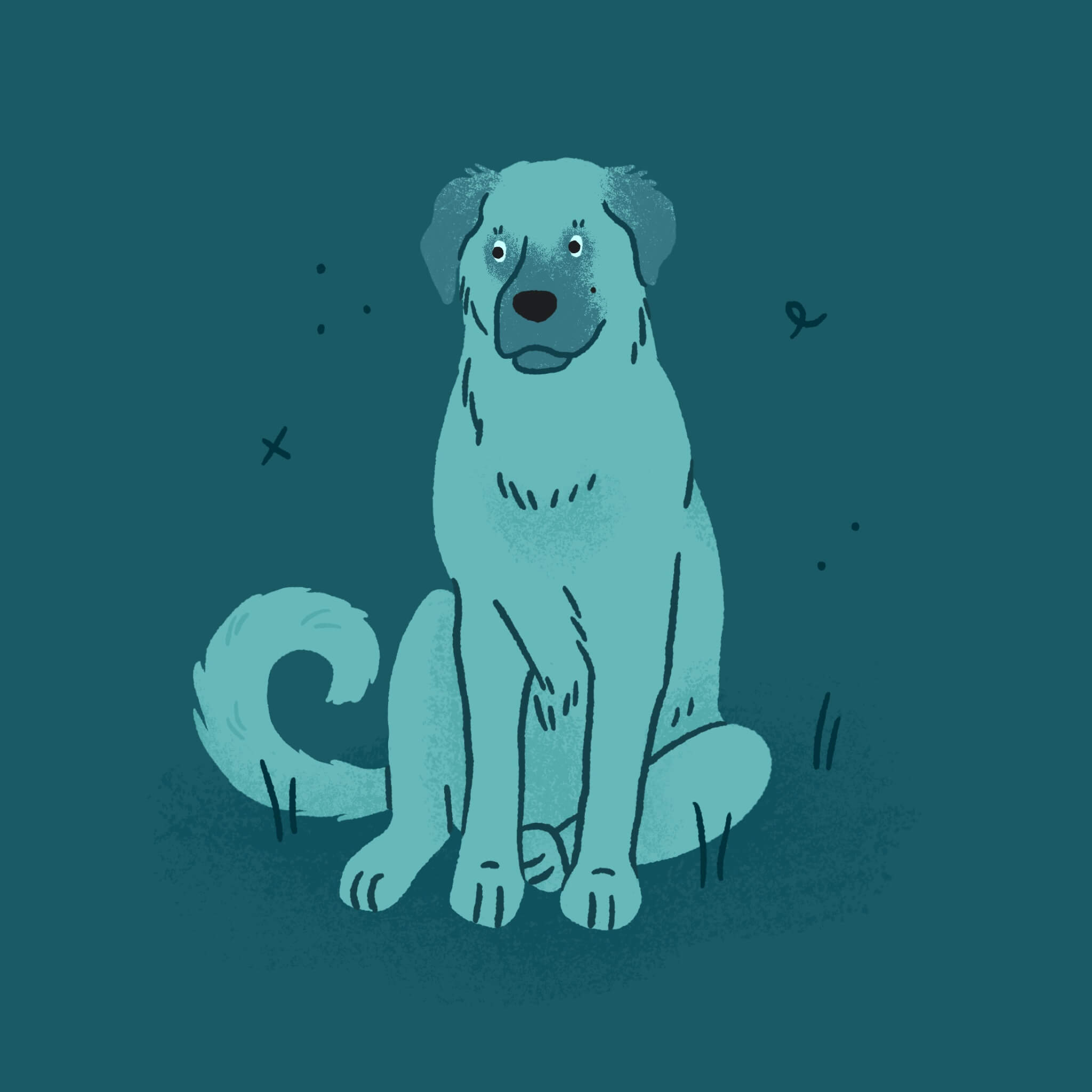 A monochromatic blue illustration of an Anatolian Shepherd