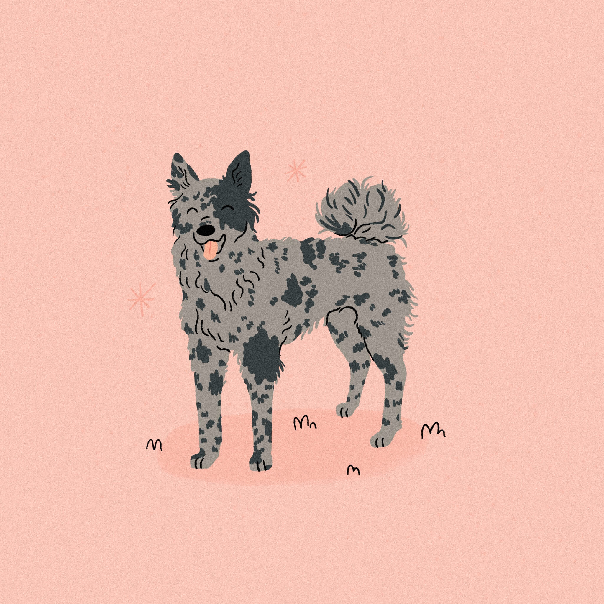 An illustration of a grey and black spotted Mudi dog standing on a bright pink background