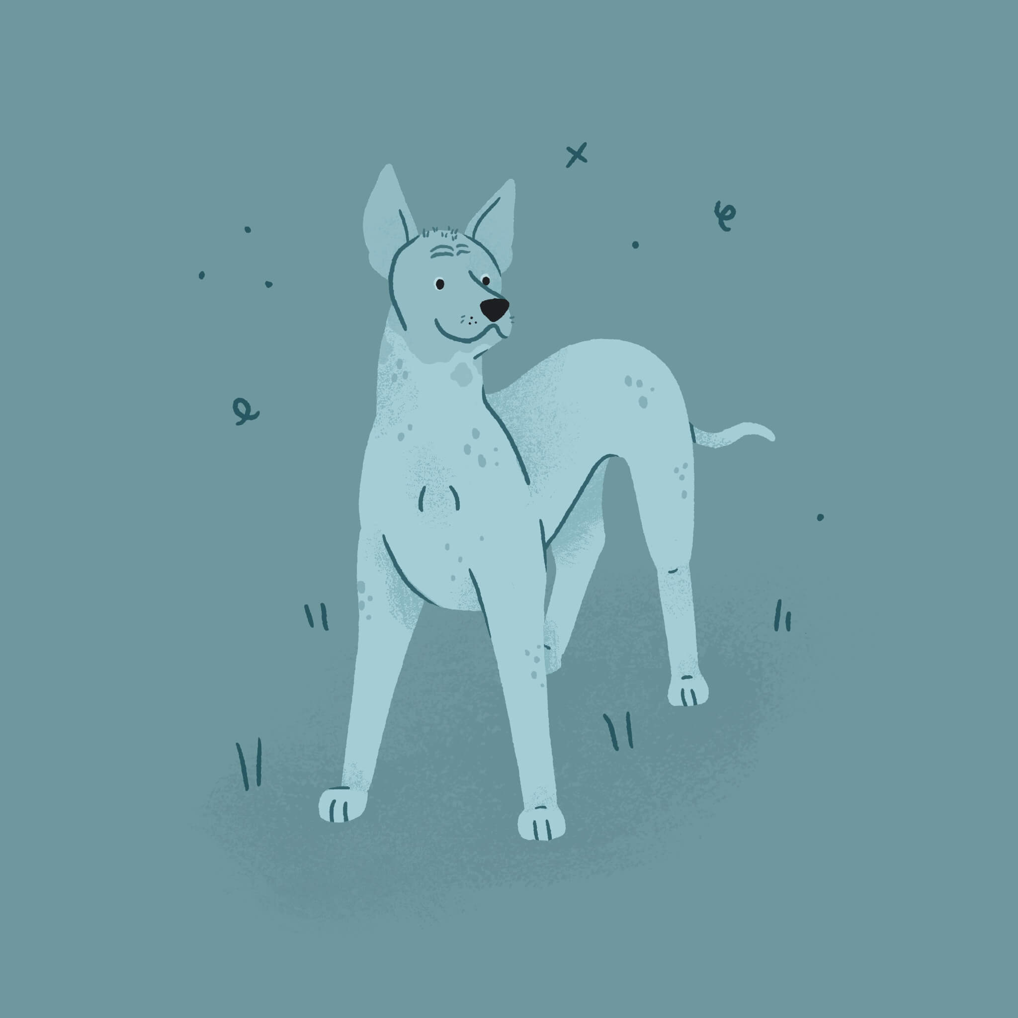 A monochromatic blue illustration of a Mexican Hairless Xoloitzcuintle dog