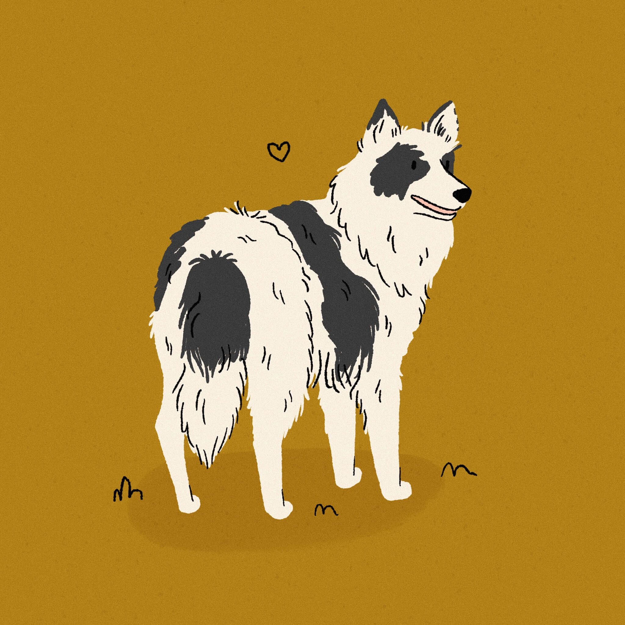 An illustration of a white and black Yakutian Laika Dog, standing with a dark gold yellow background