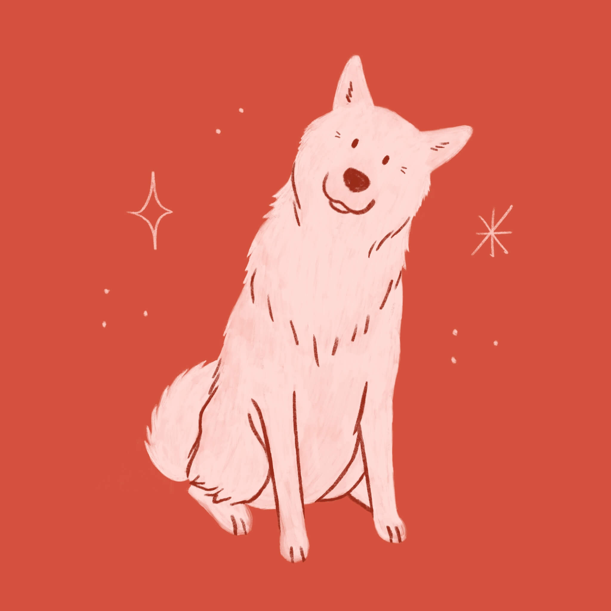 An illustration of a Norwegian Elkhound dog smiling, sitting and tilting its head