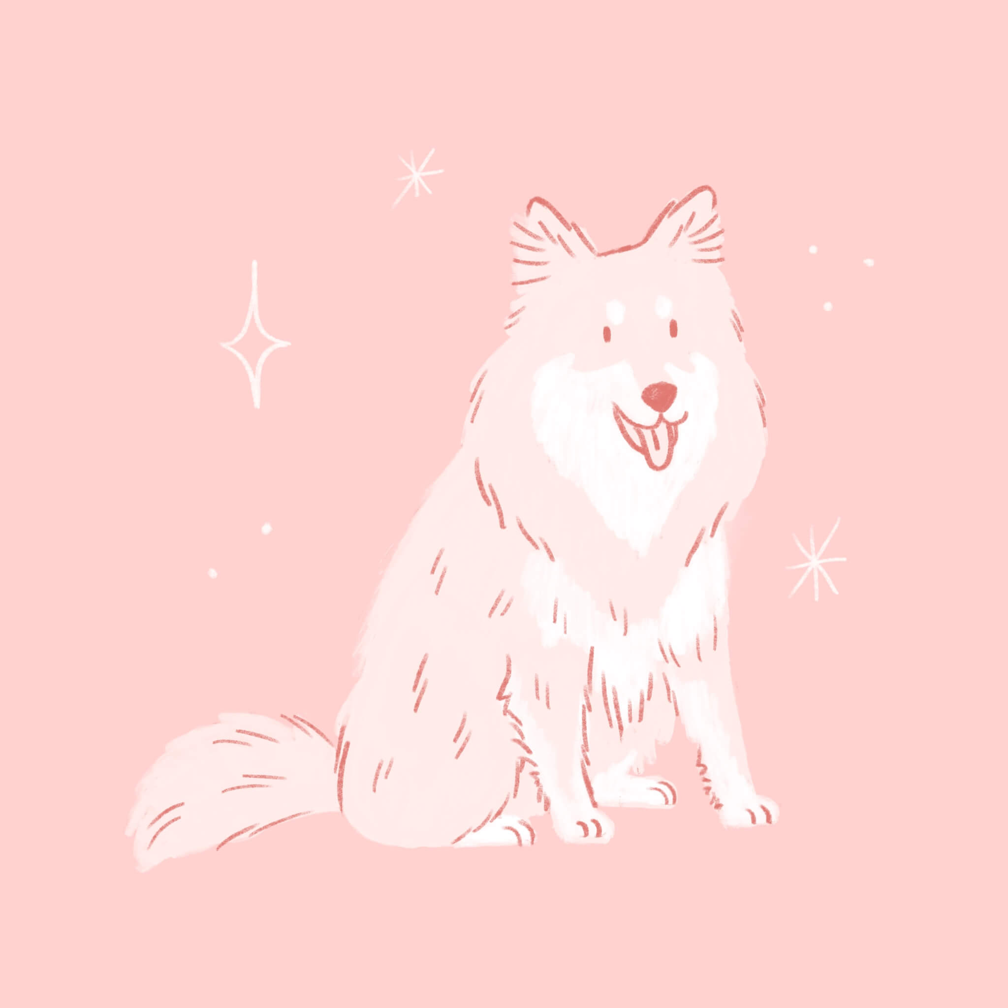 A pink illustration of a Finnish Lapphund dog