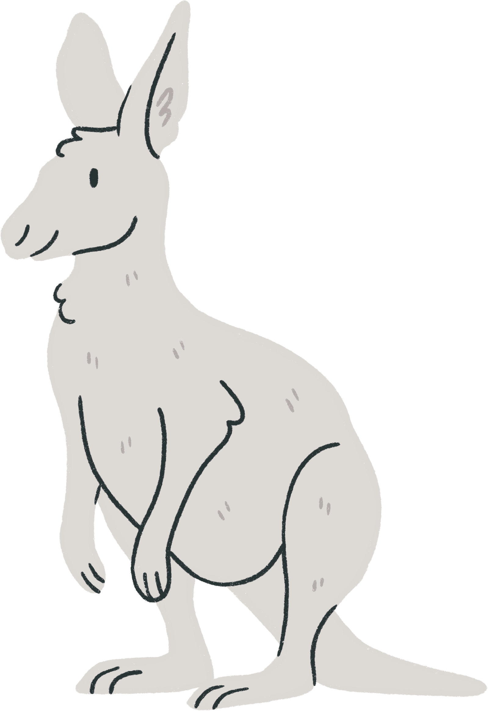 Kangaroo