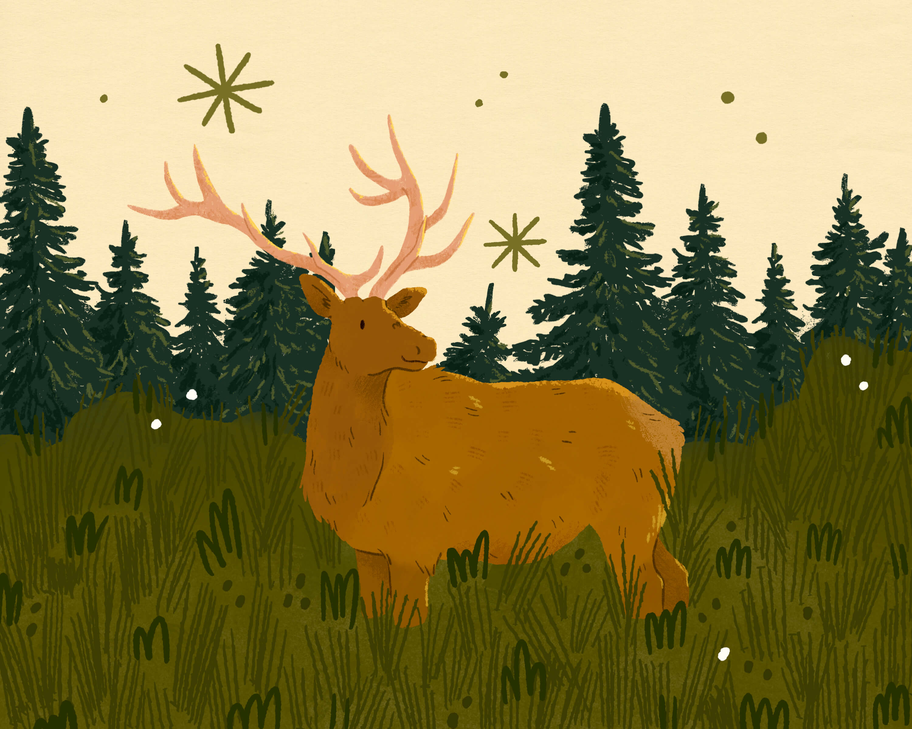 A digital illustration of an elk standing in some tall grass in front of a row of coniferous trees