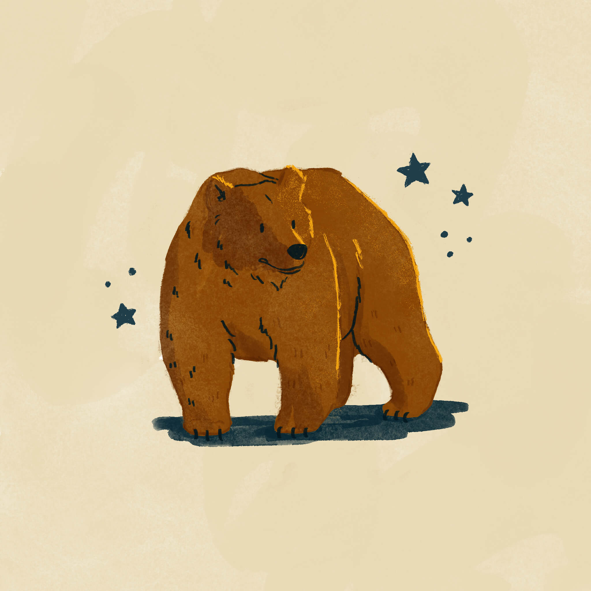 A digital illustration of a grizzly bear standing on four legs and facing the viewer. There are navy stars surrounding it.