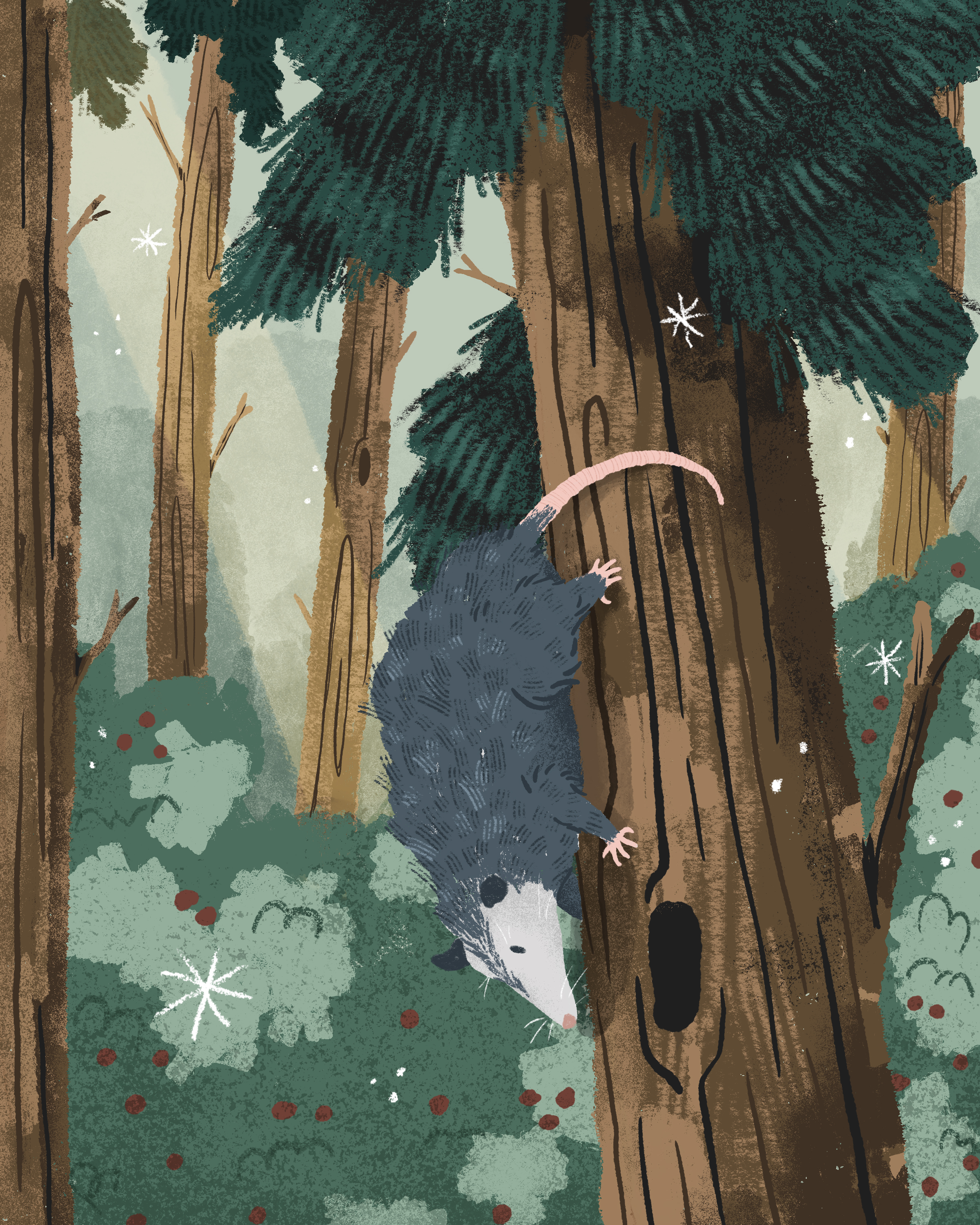 A digital illustration of a forest scene with a possum climbing down a large tree