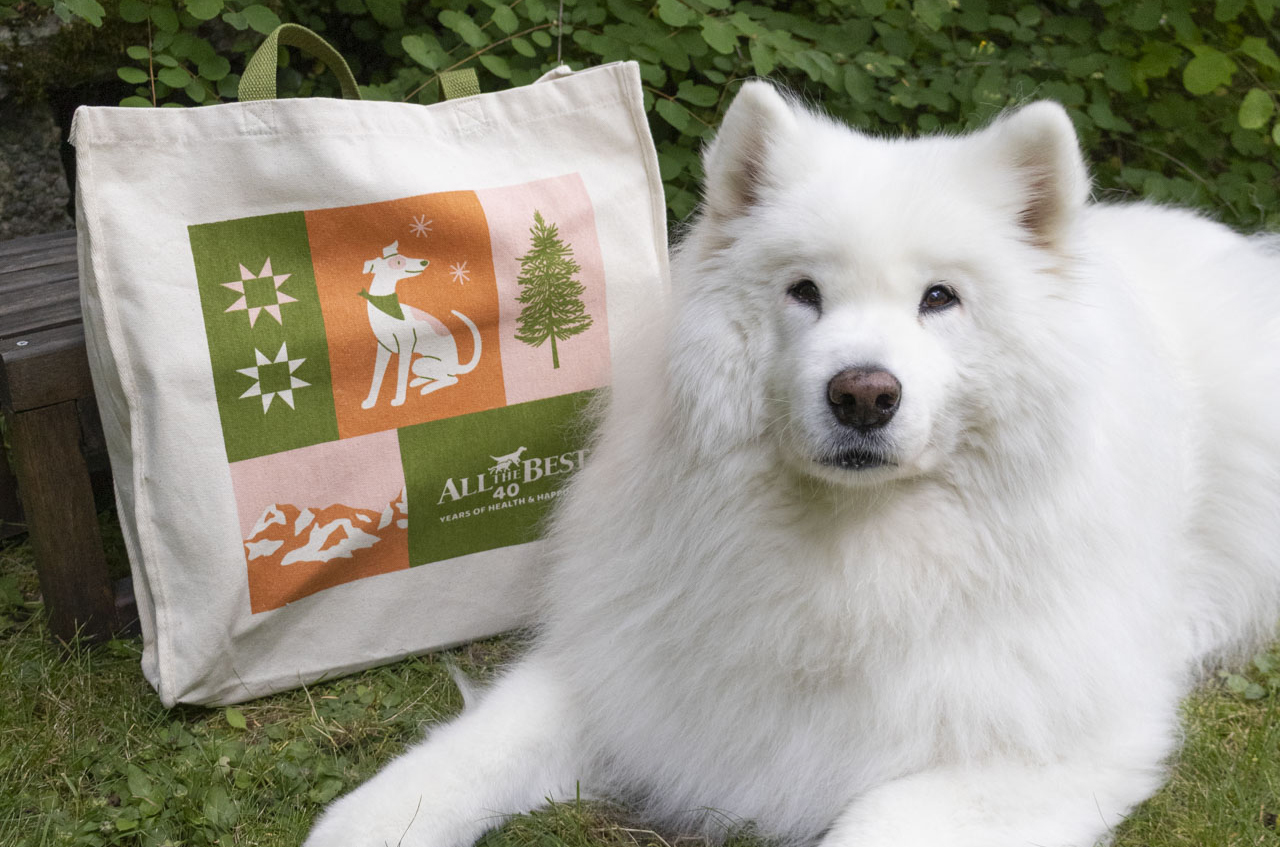Misty the samoyed lays next to a beige canvas tote bag with a patchwork illustration of a dog, evergreen tree, mountains, and quilt squares