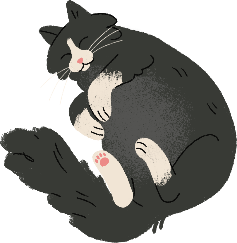 cat-curled